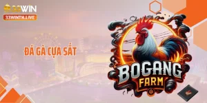 Đá Gà Cựa Sắt Tạo Địa Chấn Với Những Cú Ra Đòn Cực Hiểm
