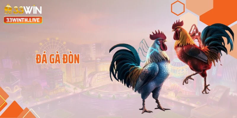 Đá Gà Đòn - Soi Kèo Căng Như Dây Đàn Với Đòn Lối Hiểm Hóc