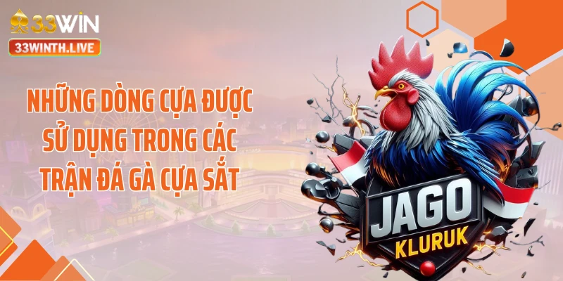 Những dòng cựa được sử dụng trong các trận đá gà cựa sắt