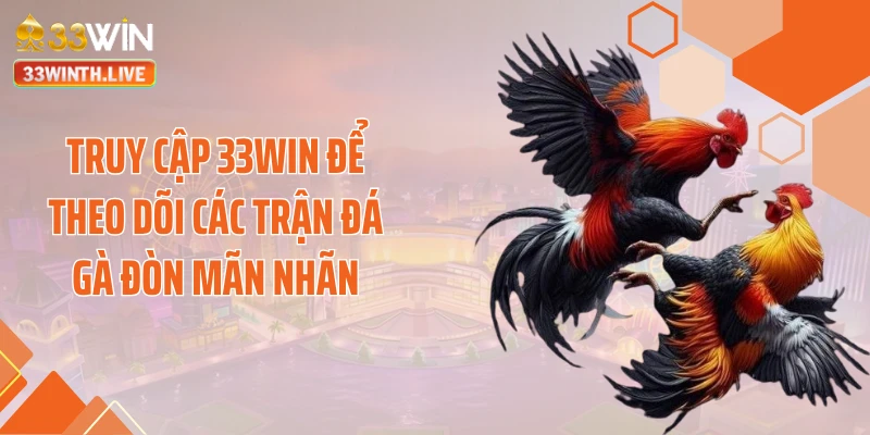 Truy cập 33WIN để theo dõi các trận đá gà đòn mãn nhãn